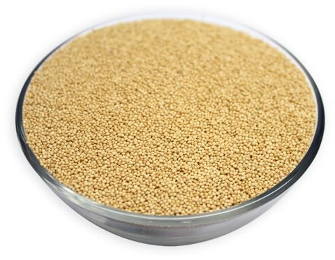 Organic Amaranth Grain Seeds