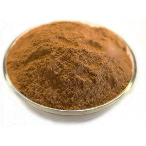 Organic Reishi Mushroom Powder