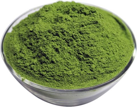 Organic Wheatgrass Powder