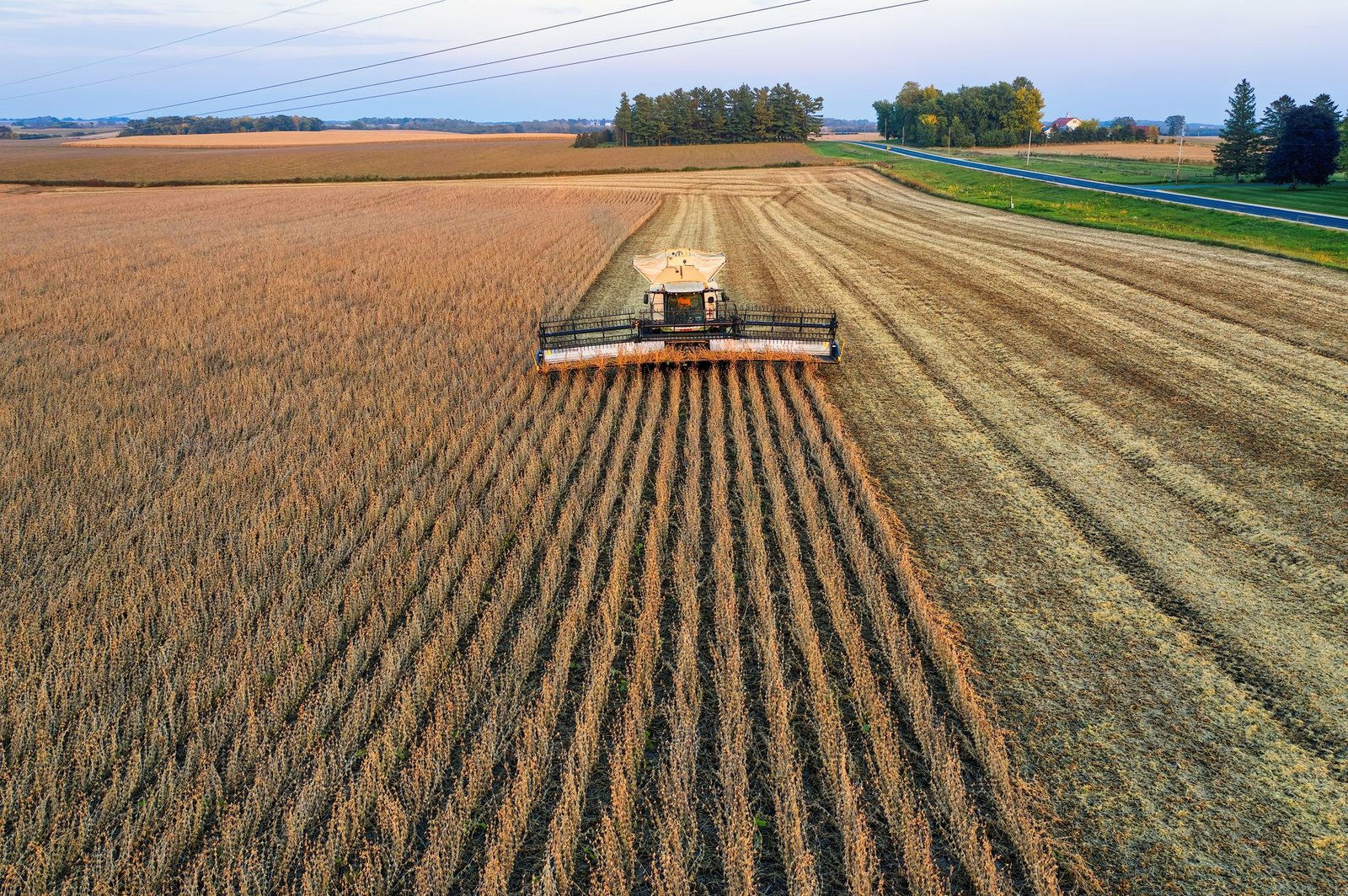 Sourcing From Goiás: Inside Brazil's Grain Belt
